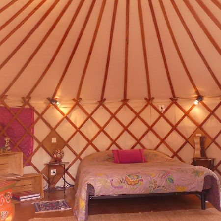 Les Yourtes D'Hotes Plouguiel Екстериор снимка